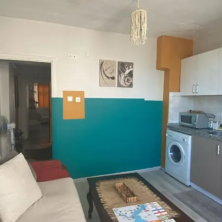 Erkul Old 4y Appartement Istambul